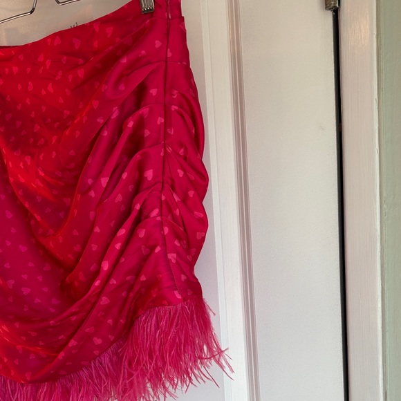 NWT Lovers + Friends “Maisey” Skirt Mini Pink Heart Coquette Ostrich Trim Size M - Picture 6 of 8